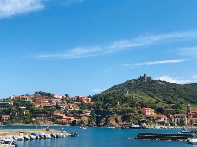 Villa Confort Et Cosy 20 Minutes D'Espagne Plage dʼArgelès Zewnętrze zdjęcie