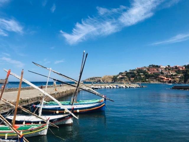Villa Confort Et Cosy 20 Minutes D'Espagne Plage dʼArgelès Zewnętrze zdjęcie